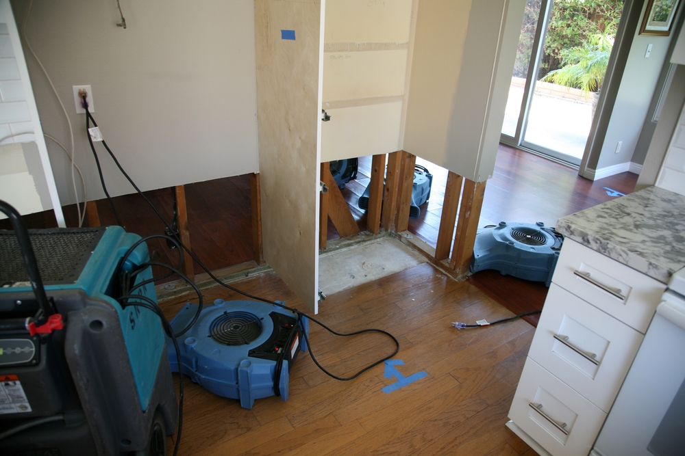 What to Do Immediately After Water Damage in Your Clearwater Home